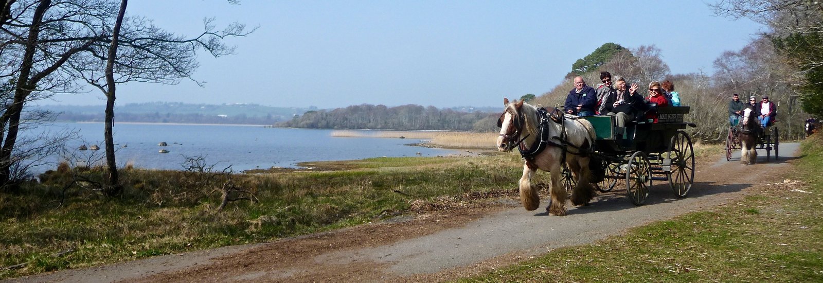 Jaunting Cars Killarney National Park